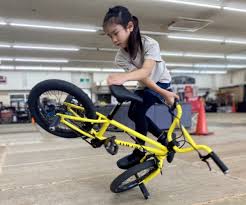 31 Best Bmx Bikes May 2022 Bikeride