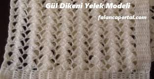 Gul Dikeni Yelek Modeli Renkli Hobi 2020 Yelek Orgu Model