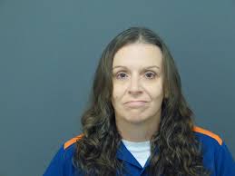 Offender Tracking Information System (OTIS)