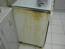 نظفت فرنى واللى وراة وطلعت بلاوووووووووووى عالم حواء