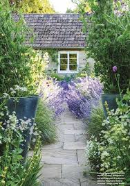 Garden Path With Lavender Gorgeous Lavender Bushes From Shelf Edge Www Shelf Edge Co Uk Cottage Garden Dream Garden Beautiful Gardens