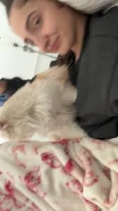 UPDATE: HE WAS FOUND! Thank you to trey larsen and everyone who helped find  my baby boy. Hes home safe and sound!, I’m searching for my kitten, Tofu.  He’s a 1-year-old Persian with a white coat and ...