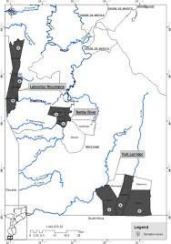 Image result for Faroa salutaris