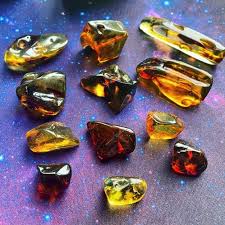 Baltic Amber Specimens