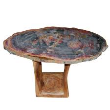 Arizona Petrified Wood Table Petrified Wood Table Wood End Tables Petrified Wood