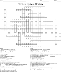 It's easy to look at these and think of bones as dry, dead sticks in your body, but this couldn't be further from the truth. Skeletal System Review Crossword Wordmint