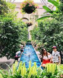 Many of these gardens are located indoors in the conservatory, providing a great activity during hot, cold or rainy weather. Guide To The United States Botanic Garden In Dc Washington Dc