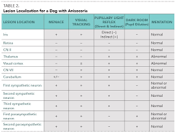 Image result for Neurologic Lesion Localization