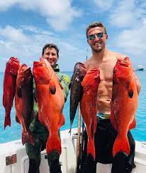 Welcome to the page sam burgess! Sam Burgess Home Facebook