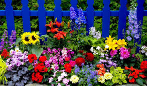 Kamu bisa memanfaatkannya untuk membuat hiasan rumah berupa bunga. 4 Tips Membuat Hiasan Rumah Dari Bunga Plastik Kangtani Com