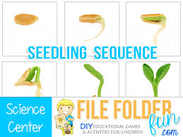 Check spelling or type a new query. Seed To Plant Coloring Worksheet The Crafty Classroom