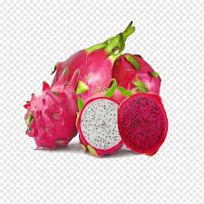 Apr 20, 2020 · warna merahnya yang cantik dan rasanya yang segar, bikin semua orang penasaran untuk mencoba resep dragon fruit punch ini. Buah Tropis Leci Eksotis Buah Kupas Buah Ping Bermacam Macam Makanan Buah Tropis Png Pngwing