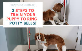 3 Steps To Train Your Puppy To Ring Potty Bells How To Train A Dream Dog Potty Bells Training Your Puppy Dog Training