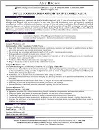 professional resume samples best