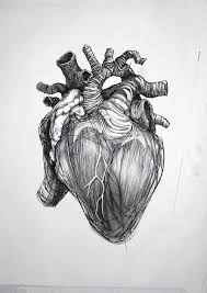 Vous Devez Choisir Votre Filiere Je Vous Presente La Mienne Coeur Humain Dessin Tatouage Coeur Humain Dessin Coeur