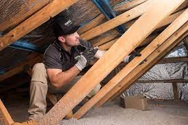 Scratching Noises In Your Roof Here Are 4 Culprit Pests Are Noises In Roof Or Wall Cavities Keeping You Awake At Night It Could Household Pests Pests Noise