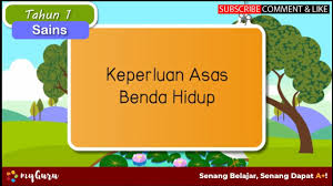We did not find results for: Download Keperluan Mp4 3gp Naijagreenmovies Netnaija Fzmovies
