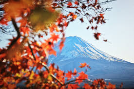 6 nights / 7 days. An Overview Of Best Places To Visit In All 47 Prefectures Of Japan