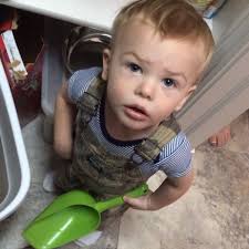 Shaytards Wikitubia Fandom