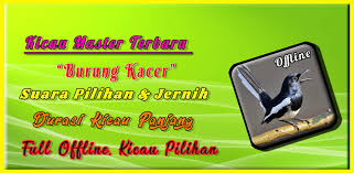 Gambar burung cendet (pentet) png. Terkini Burung Png