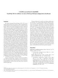 Image result for Mimulopsis