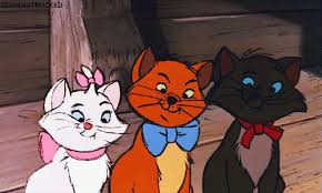 Is your pet kitty as graceful and majestic as an aristocat? Aristocats Movie Review Disney Amino