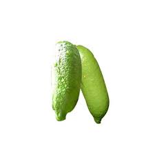 I don't even know what color the vesicles will be, and it'll be a while before it sets any fruit. Finger Lime Nutrition Facts Finger Lime Health Benefits