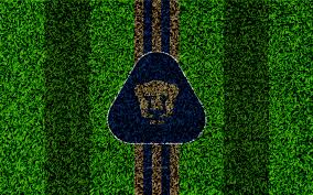 Bienvenido al canal oficial de twitch de los pumas de la unam. Download Wallpapers Pumas De La Unam Club Universidad Nacional 4k Football Lawn Logo Mexican Football Club Emblem Gold Blue Lines Primera Division Liga Mx Grass Texture Mexico City Mexico Football Pumas Fc
