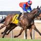 Northam Cup event image