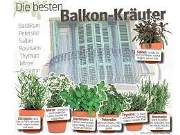 Krauter Garten Pflanzen Balkon Pflanzen Pflanzen