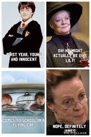 Pin By Aamina S 148 On Harry Potter And Fantastic Beasts Harry Potter Universal Harry Potter Memes Harry Potter Puns