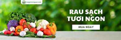Thegioinongsan - Cửa hàng bán nông sản sạch organic