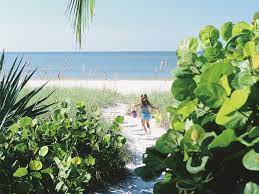 Next to outdoor activities for kids, let your kids play freezing toes. 9 Best Things To Do On Sanibel Island With Kids