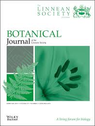 Image result for Eggelingia clavata