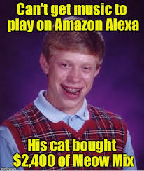 Image result for cat and alexa meme