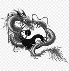 All dragons have common features of wings, scaled body and fiery breath. Dragon Tattoo Design Hand Draw Tattoo Temporary Tattoos Dragon Yin Yang Tattoo Designs Png Image With Transparent Background Toppng