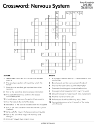Solar system crossword puzzle solar system worksheets solar system lessons have fun teaching. Crossword Nervous System