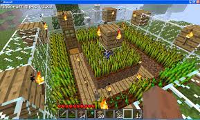 What Is The Optimum Pattern To Place Crops In Minecraft Arqade