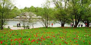 Hours, address, britzer garten reviews: Britzer Seeterrassen Im Britzer Garten Fruhstuck Im Grunen Top10berlin