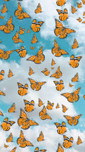 Make your device cooler and more beautiful. View 17 Cute Aesthetic Wallpapers For Laptop Butterfly Factsugarstock
