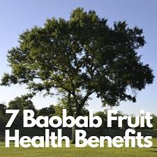 Although the exact nutrient content of baobab fruit powder will depend on where its grown and seasonal variations, this superfruit is rich in: 7 Baobab Fruit Health Benefits Go Live Pure