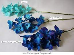 Check spelling or type a new query. Diy Wedding Flowers Bride Bouquet Blue Galaxy Orchids Blue Purple Aqua Ivory Dendrobium Orc Blue Wedding Bouquet Diy Wedding Flowers Blue Orchid Wedding