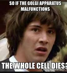 We did not find results for: Golgi Apparatus On Twitter Did You Know That Without The Golgi Body The Cell Would Overrun With Unpackaged And Untransported Proteins Hiltonaporganelle2016 Https T Co Iicu6mdyvw