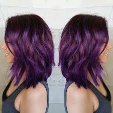 Plum Hair 3 Plum Hair Purple Ombre Hair Hair Color Purple
