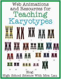Karyotyping (a cytogenetic technique) karyotyping is the process of pairing and ordering all the chromosomes of an organism, thus providing a plant mitotic metaphase chromosome is 10 times more shorter than human chromosome. 17 Karyotype Ideas Teaching Biology Biology Classroom Teaching Science