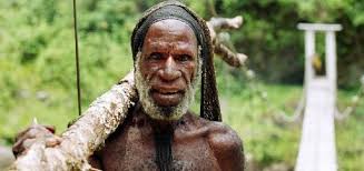 The comparative analysis, which included genome sequences of individuals from new guinea and bougainville island, indicates that genetic material derived from denisovans makes up about 4 to 6 percent of the genomes of at least some melanesian. New Near Neanderthals Complicate The Human Family Tree Gearfuse