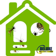 We provide reputable and reliable pest control, carpet cleaning and tile and grout cleaning, with a large focus on customer service. Carpet Cleaning Services North Brisbane Pest Control Tile And Grout Upholstery