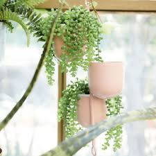 Mocoosy 2 pack artificial hanging plants with baskets, fake hanging ivy vine wall hanging plants greenery for home garden room wedding decorations 4.5 out of 5 stars 255 $15.99 $ 15. The 11 Best Places To Buy Fake Plants Online In 2021