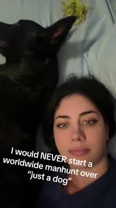 #sentinelunhinged #jeffmcarthur #dogtok @WHERE’S THE CORGI, JEFF? @SK9  @Feral @Nova & Silas + Joy @Vanessa and The Boys