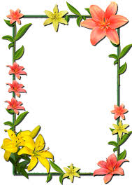 Cadres Page 302 Cadre Fleur Photo Fleurs Cadres